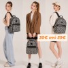 ΜΑΙΑΝΔΡΟΣ BACKPACK- ΠΛΑΤΗΣ 2